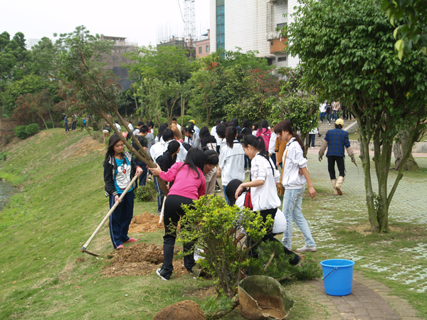 校团委组织开展“爱绿护绿”植树活动