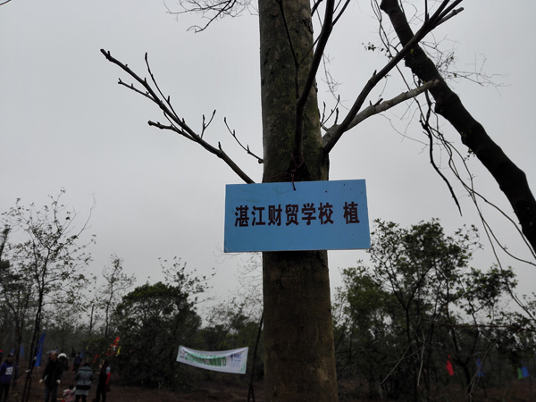 我校参加“脚印城市 绿色湛江”第三届植树节活动